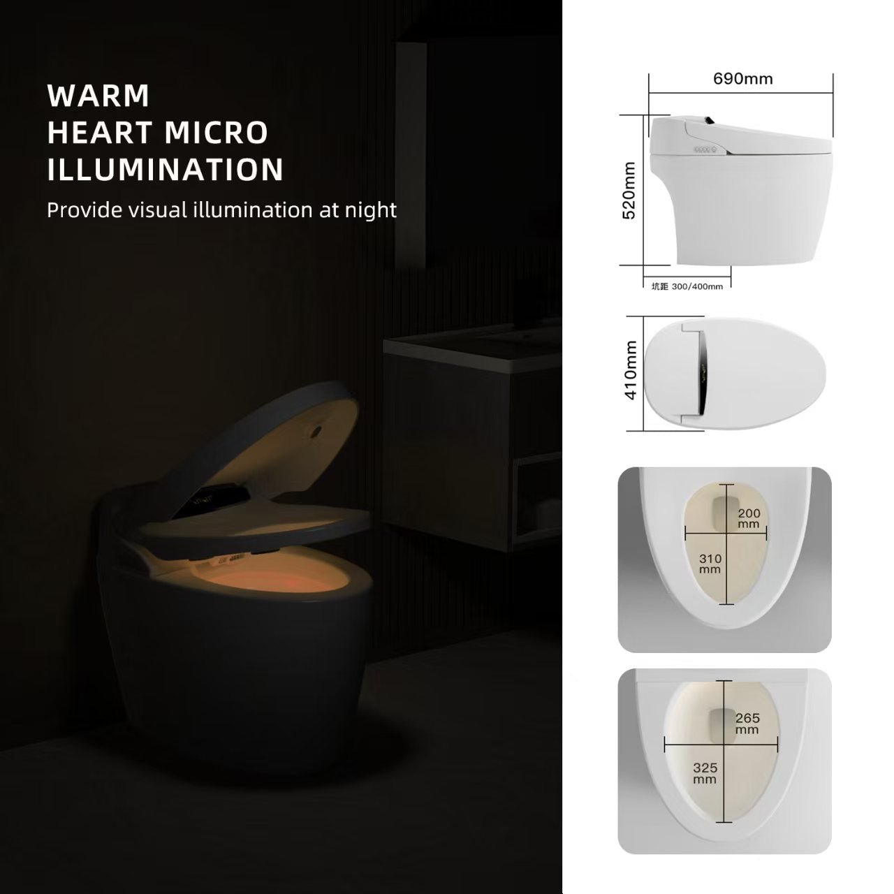 Intelligent Toilet PPT 02