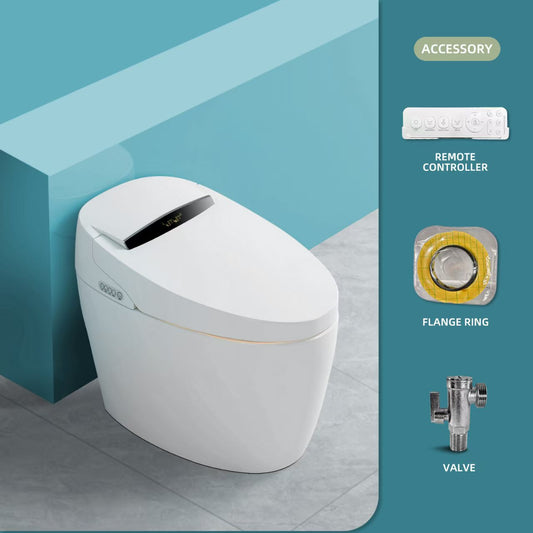 Intelligent Toilet PPT 01