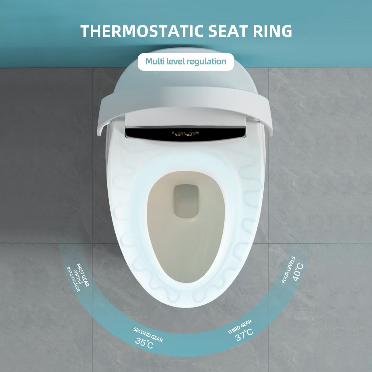 Intelligent Toilet PPT 01
