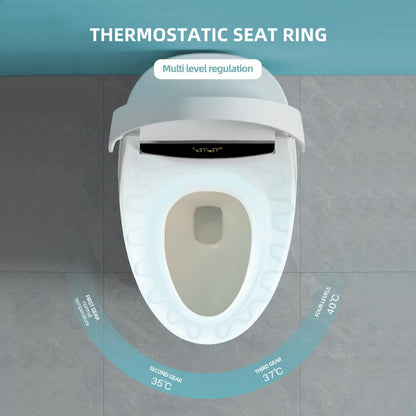Intelligent Toilet PPT 01